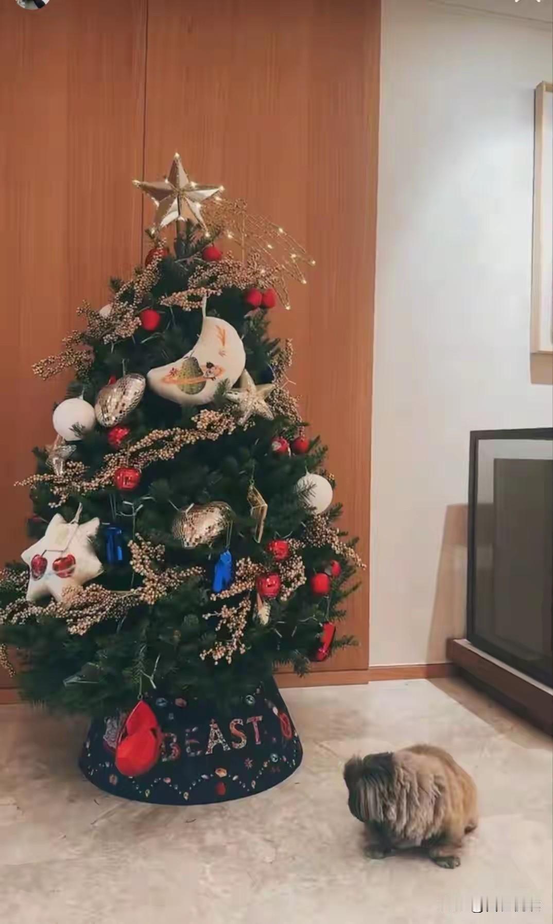 大家发现了吗一年那么多节日马筱梅好像都没怎么晒过唯独圣诞节她都会提前