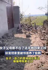 安徽icon，女子父母都不在了，她回家上坟，发现大门口被邻居用铁丝网围住，养了一