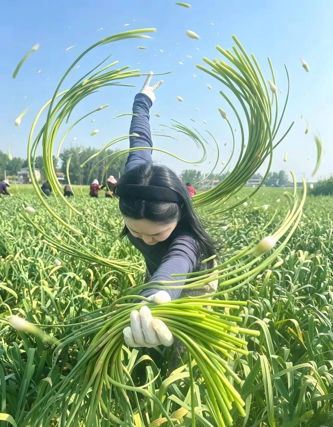 河南开封申请出战