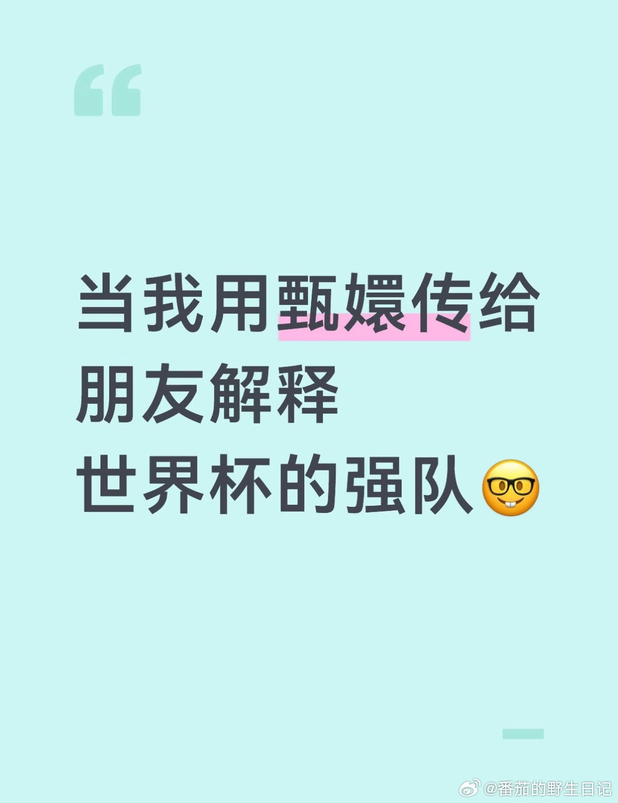 上哪找又看世界杯又看甄嬛传的人 ​​​