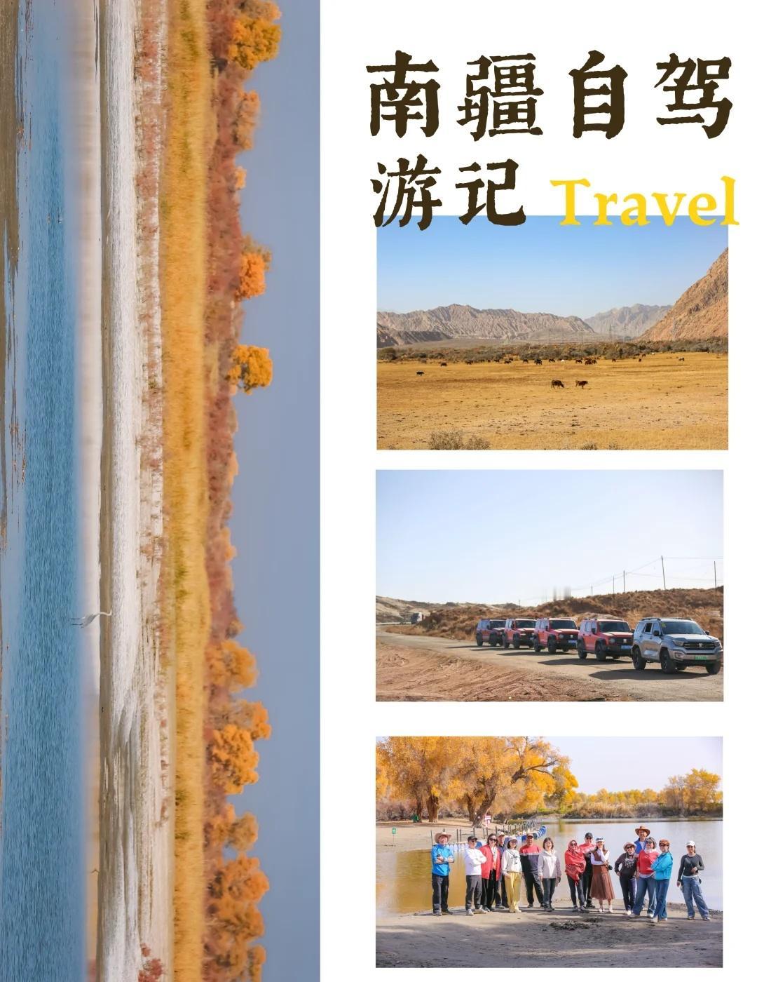 南疆🎞️｜世界如此灿烂盛大南疆胡杨林葫芦岛胡杨林南疆自驾新疆