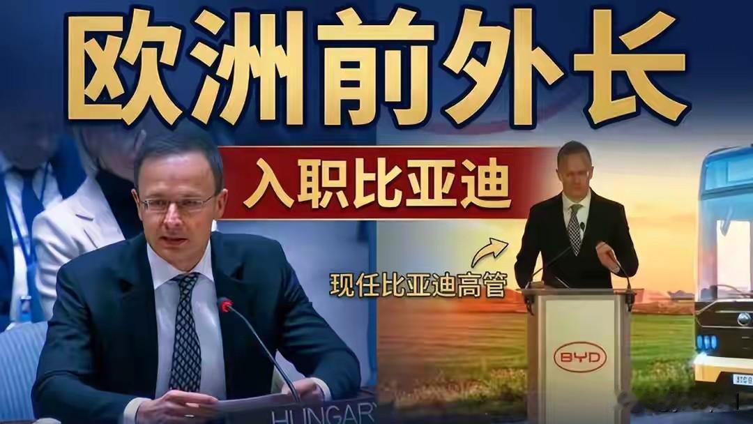先不管毛焦尔那番指控是真是假——光是“前外长刚下台，转脸就进了中企当高管”这个操