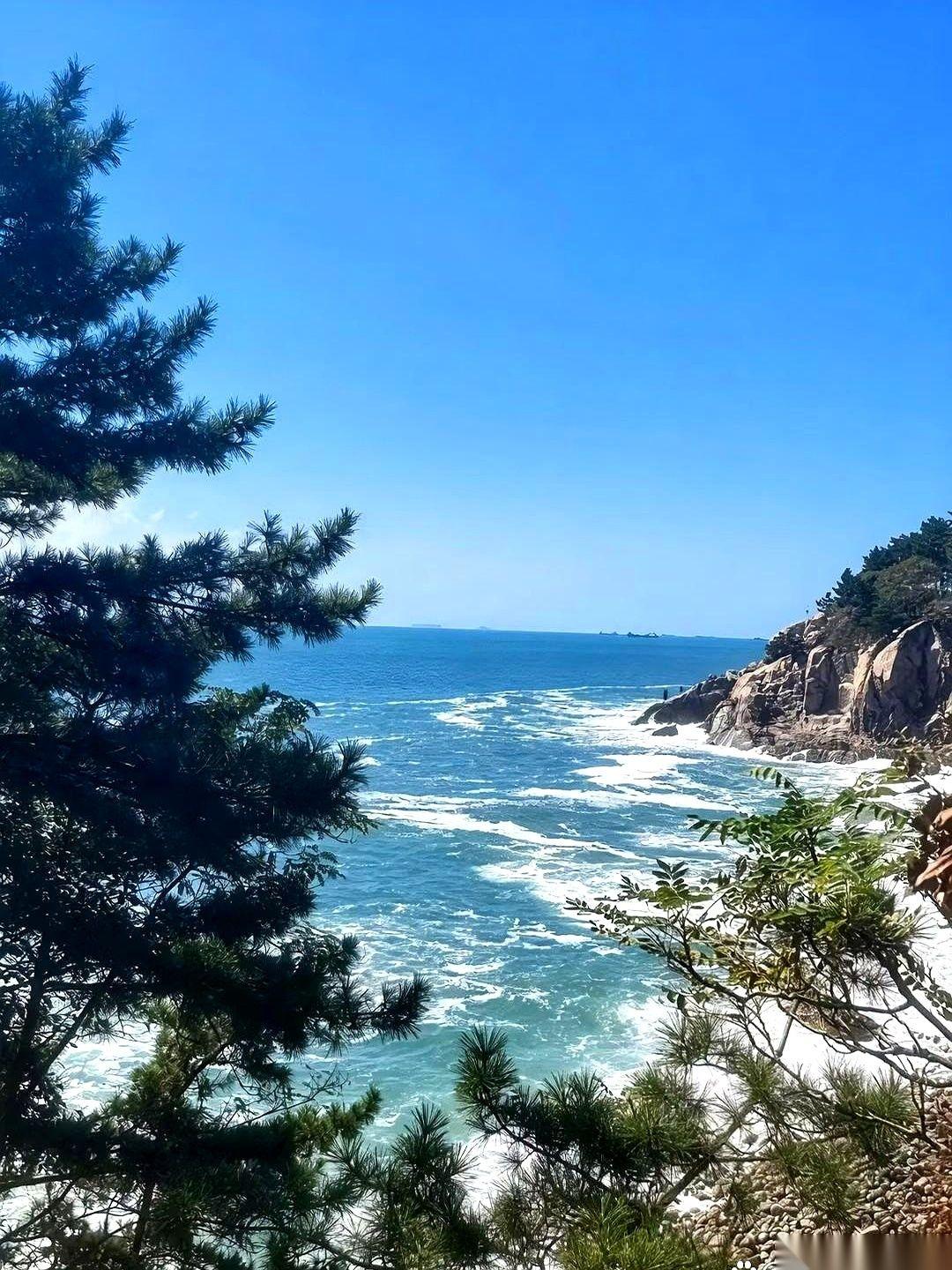 哥们儿猛抽了一口烟，把刚捂热的离婚证甩在桌上，满脸写着委屈：“我都退一步只要个儿