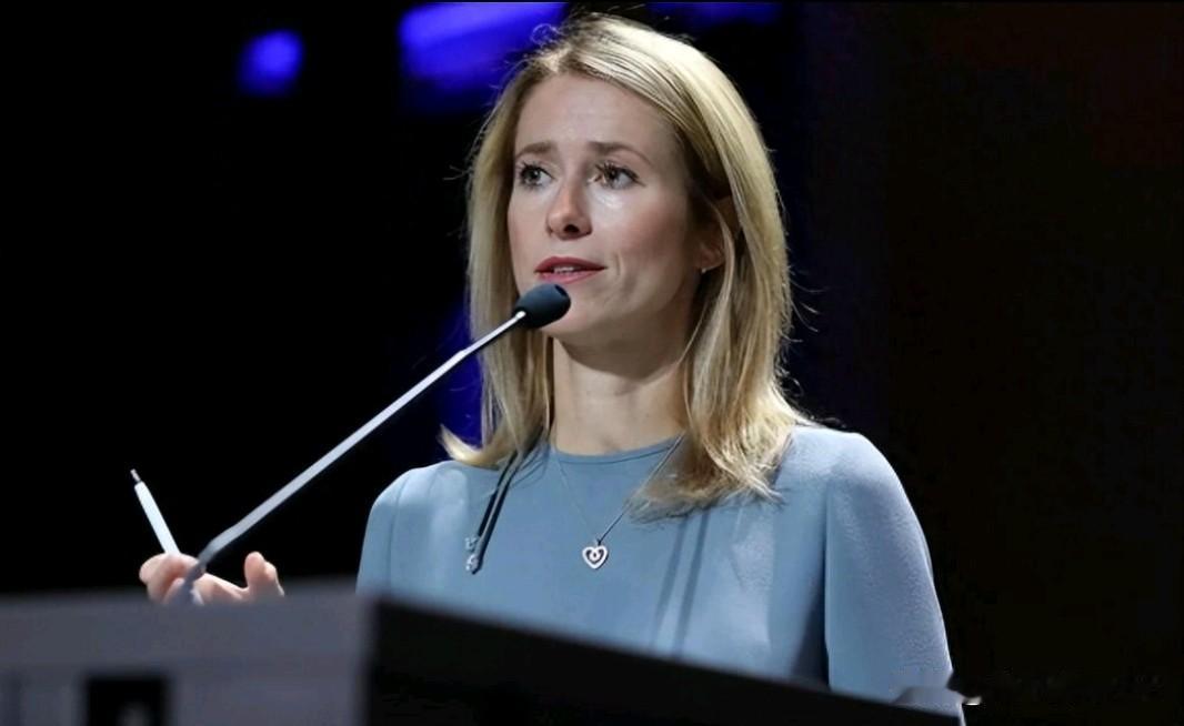 欧盟的双标，让人咋舌！我们举行军演，欧盟声称对我们的行为表示反对，但是面对美国公