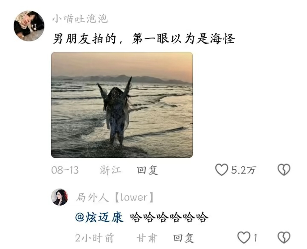 第一眼以为是海怪