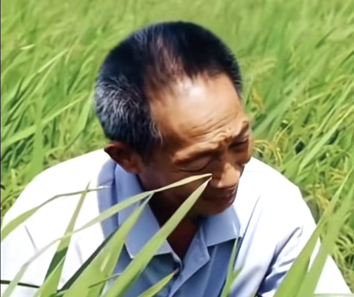 我是万万没想到，那个在网上诋毁袁隆平成果的百万粉丝网红，他竟然还敢公开挑衅！6