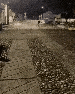 哦豁，这下好了，原来我才是猎物。