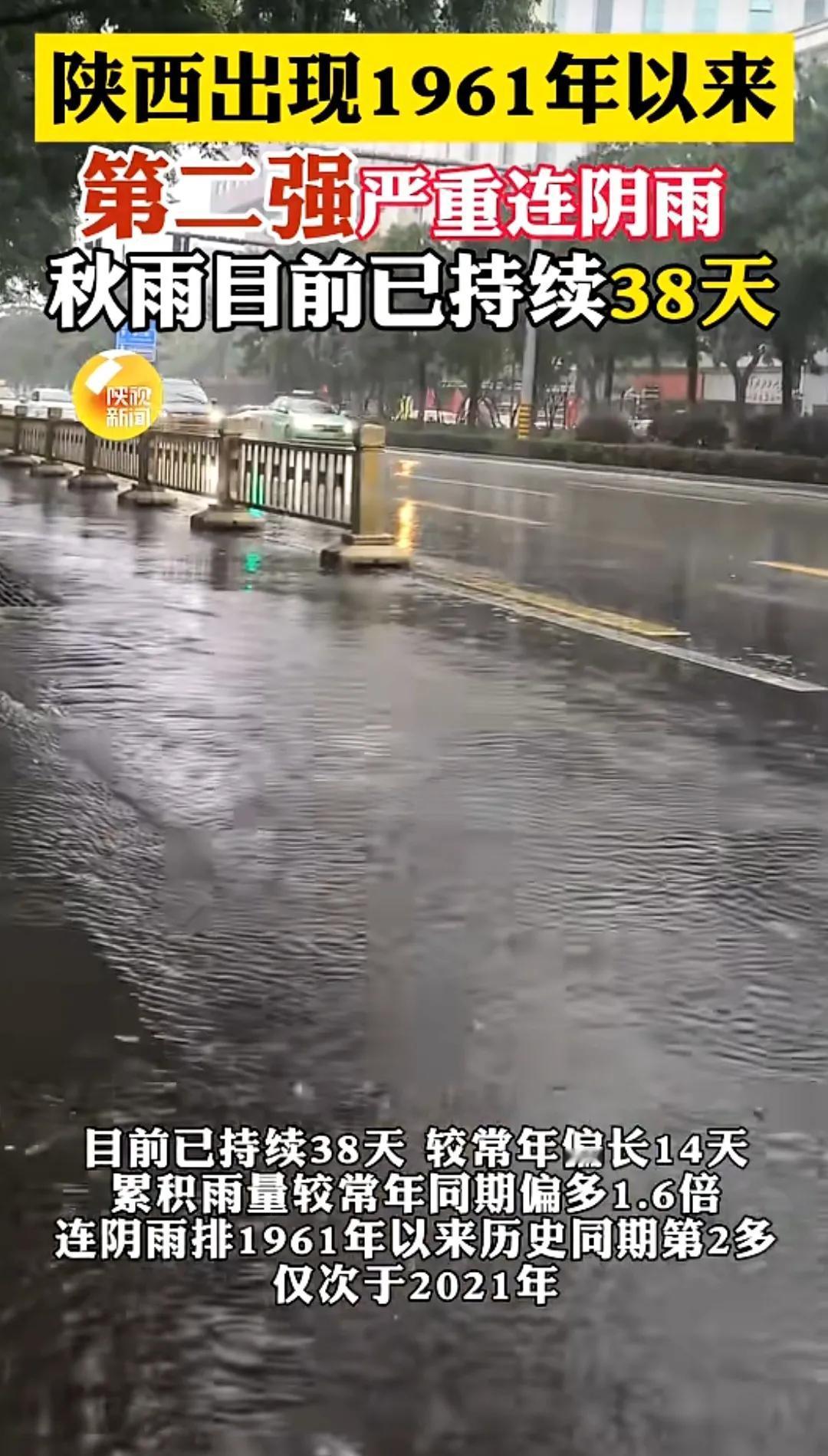 来西安二十多年，从来没有见过连着下这么长时间的雨。上半年旱死，下半年涝死，庄稼都