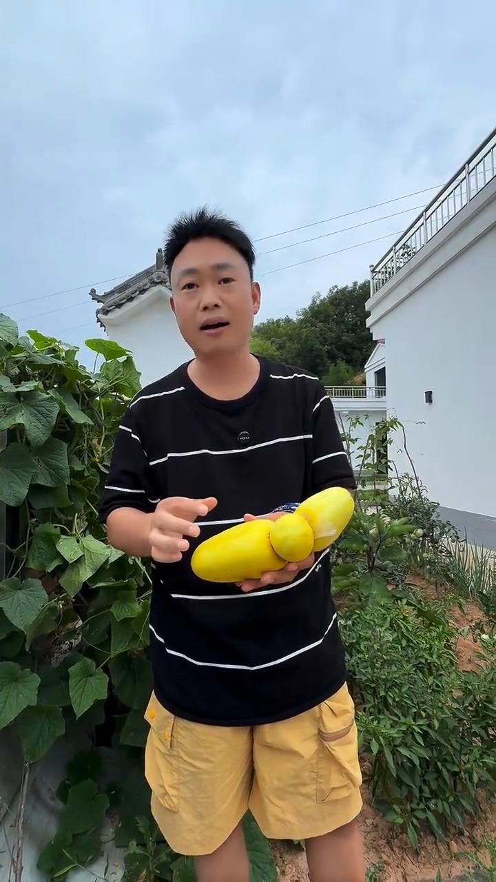 我前几天用一根绳子绑了一根黄瓜，现在来看，它已经变形、畸形了，不像样子了，已经面
