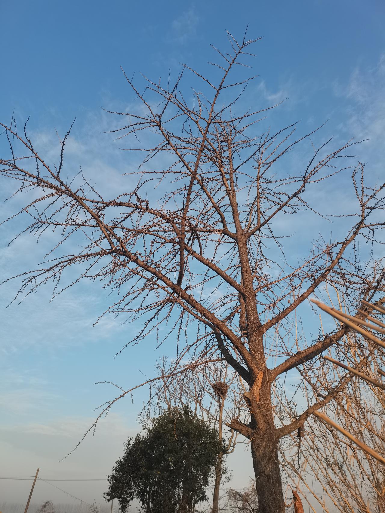 67岁表姐终于又在上海找到了一份住家保姆的工作。我表姐出生于1960年，刚好比