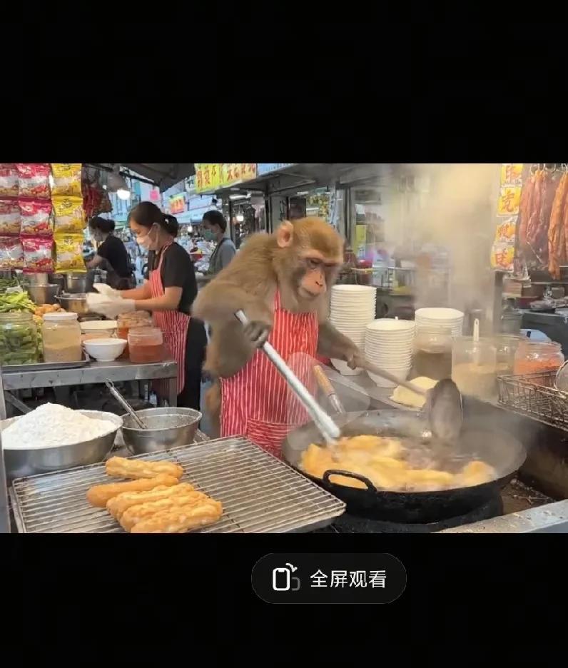 造假声音，视频那么多，你真是敢信啊1，赵忠祥的声音没有视频，配音随便配