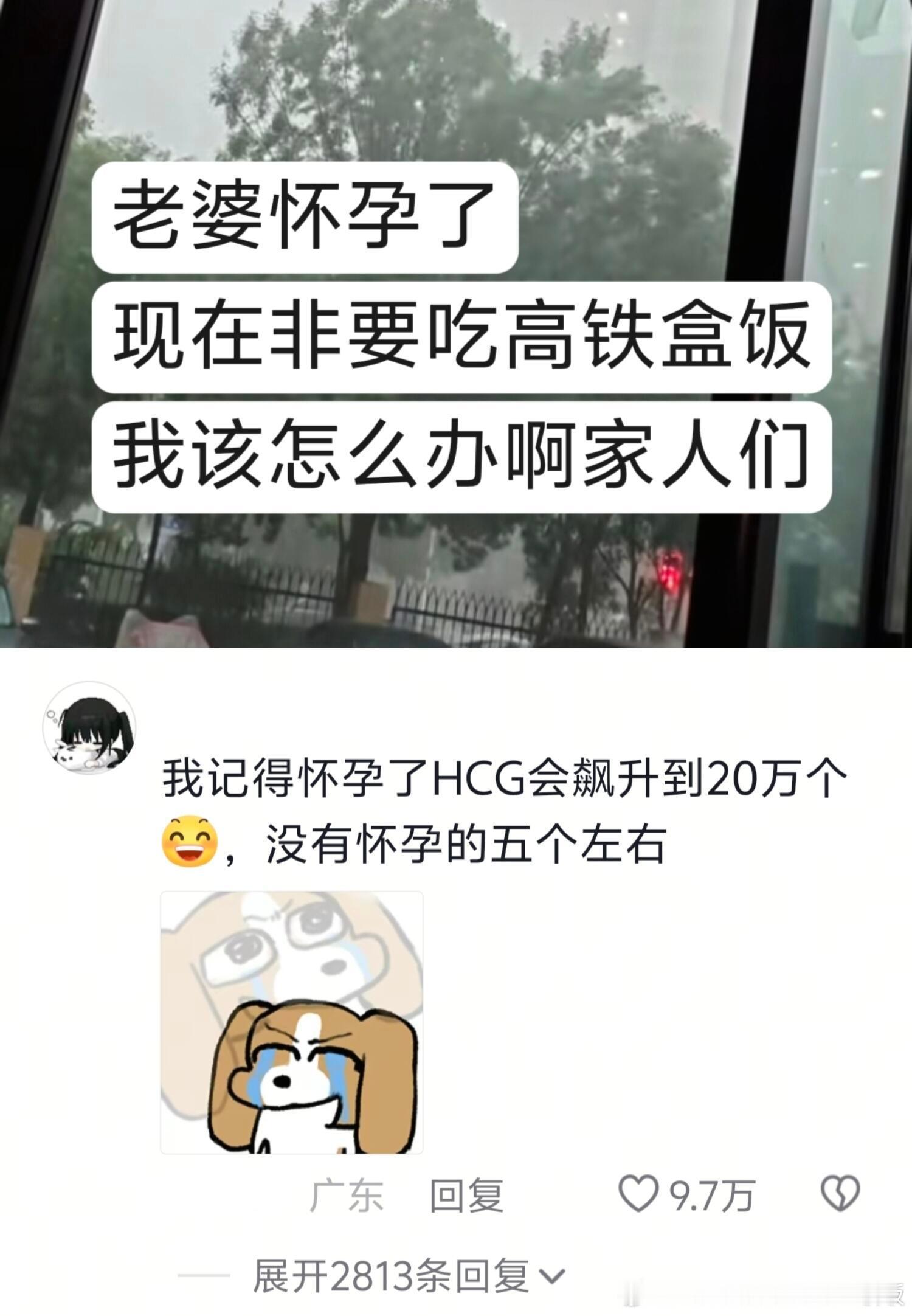 被孕激素支配的恐惧