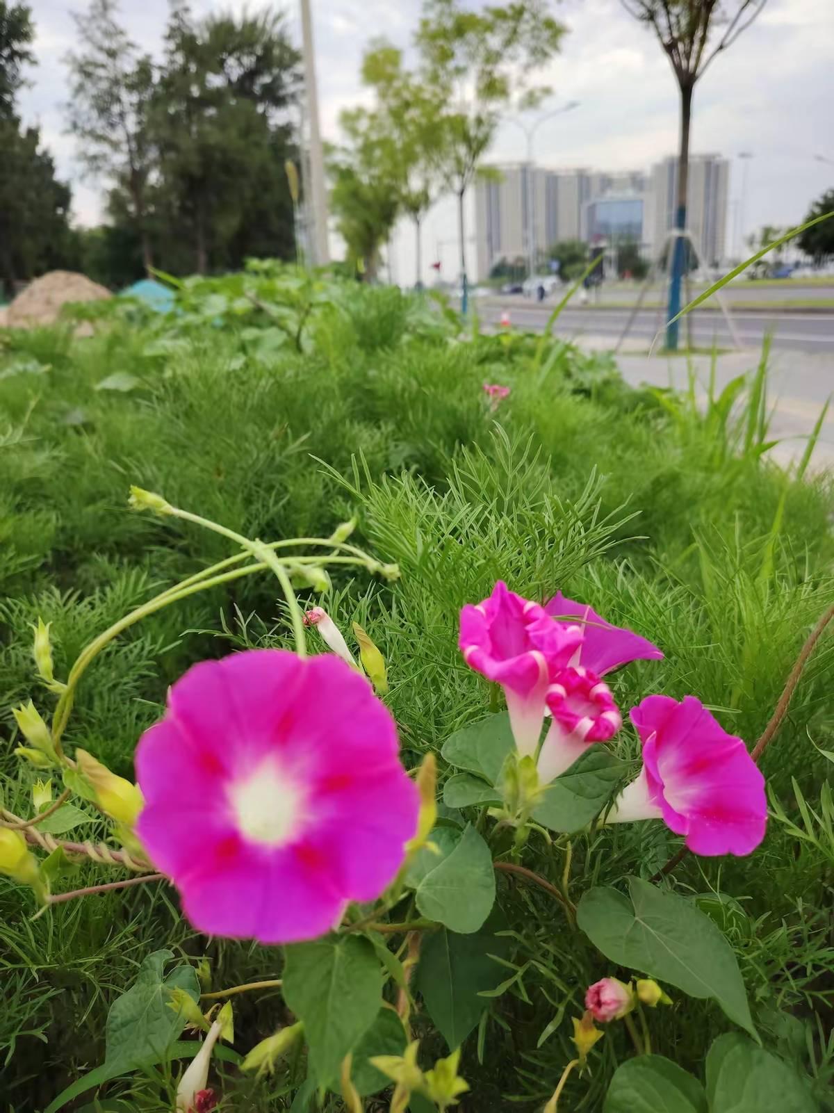 干完活不给钱，还反咬你一口的人，你见过吗？1.35亿美元的尾款，白纸黑字写在合