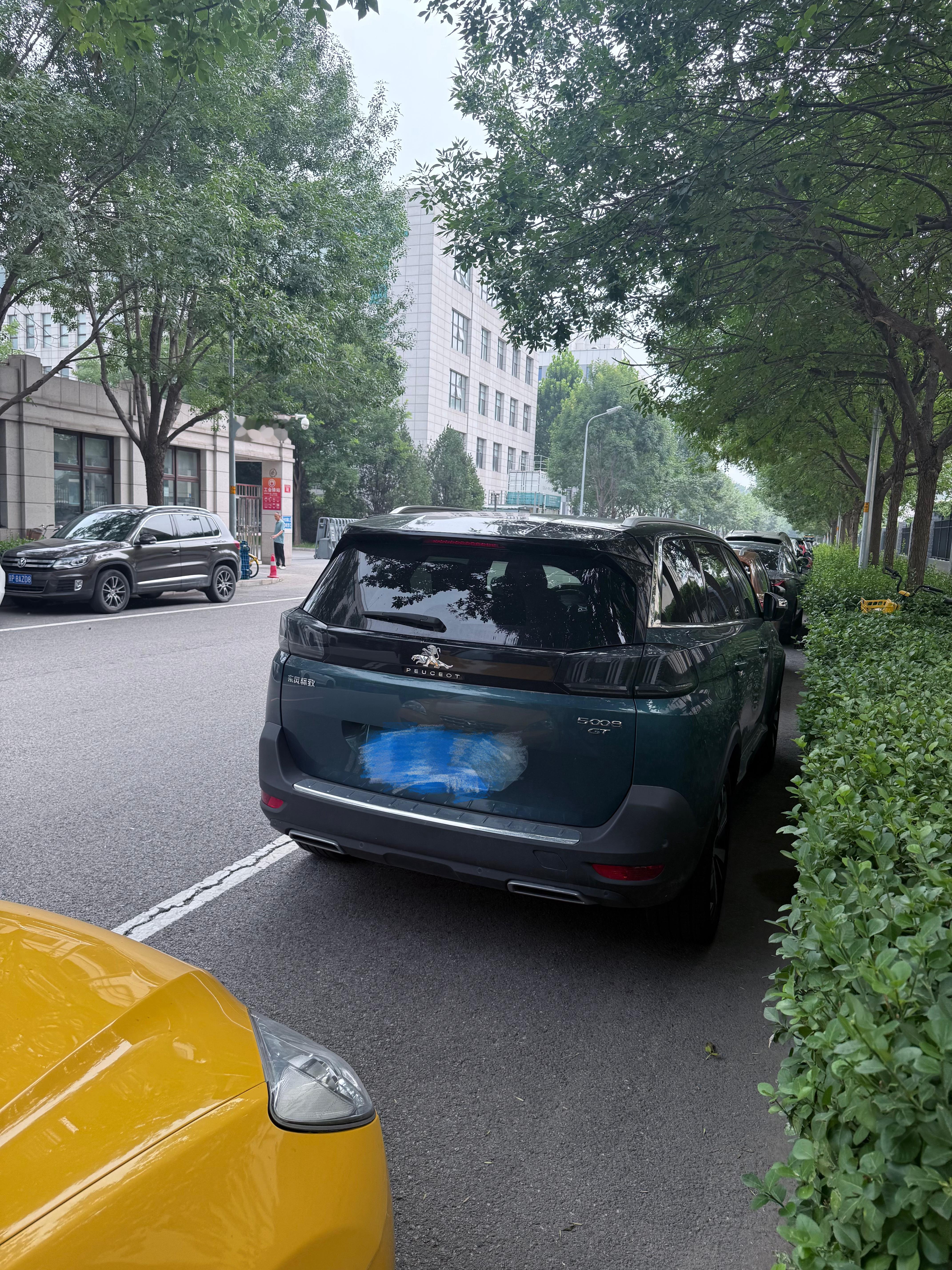 见过狗骑兔子见过狮子骑豹子吗[doge]​​​
