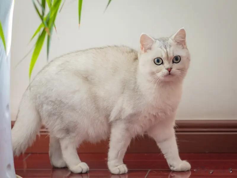 大彻大悟的话：“赚钱最快的路子，就三条：第一，跟着有权力的人混。第二，跟着有资