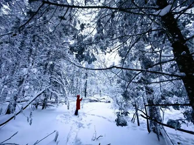 吉林延边的雪景美不胜收，宛如童话世界。老里克湖作为核心景点，雪期长达6至7个月，