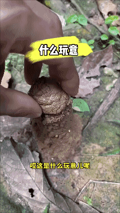 这又是啥玩意？有知道的告诉一下[捂脸哭]