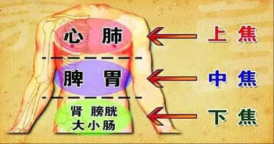 湿热不除越补越毒，最全清湿热方法都在这了，速度收藏1、上焦湿热主要是指心肺