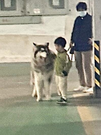 “我哥哥比我高一点点”