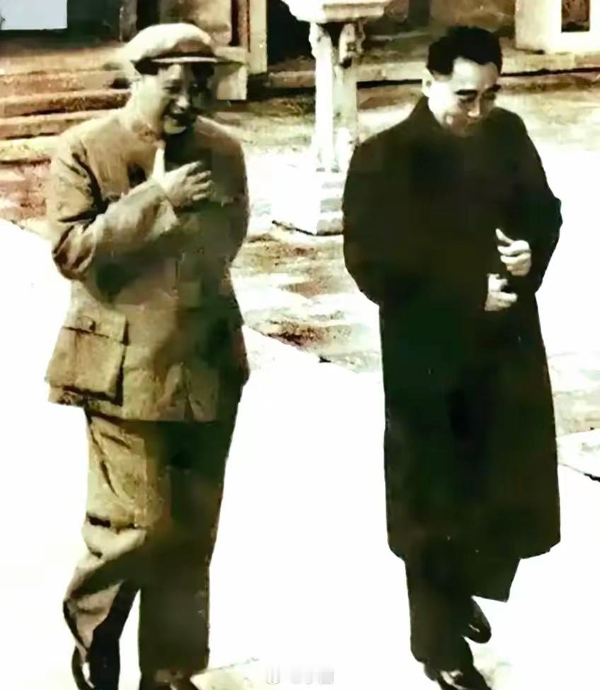毛主席身着中山装，神情轻松愉悦；周总理身穿长大衣，步履沉稳，二人并肩而行，亲切交