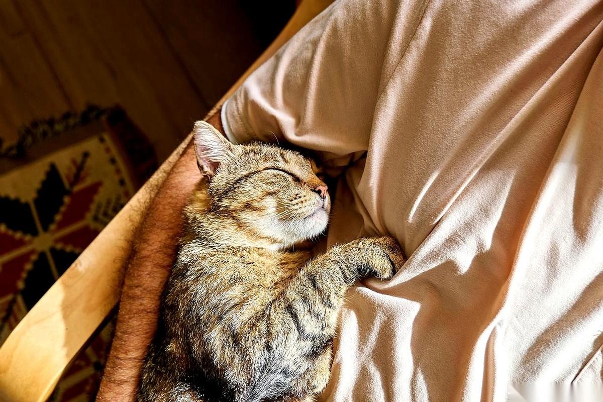 有人跟你说，给你0.5秒，你的焦虑就能降40%。你信吗？一开始我也不信，后来