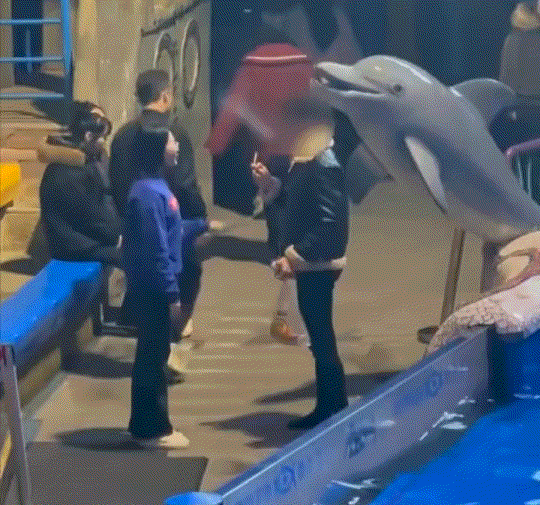 大连一海洋馆内，一名男子在此游玩时，竟无视海洋馆内禁止吸烟的规定，直接在海洋馆室