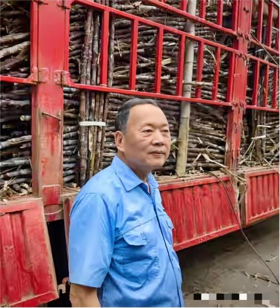 广东一家叫耀明的糖厂，最近立了个新规矩：来送甘蔗的大货车，只要在门口排队，每吨货