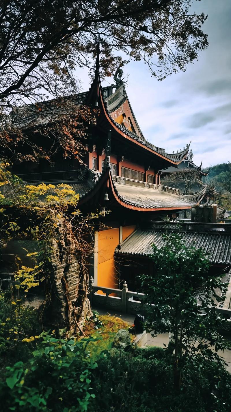 杭州的反应快，灵隐寺即将免门票就能进入，可能下个月实施。部门的效率和对社会风向