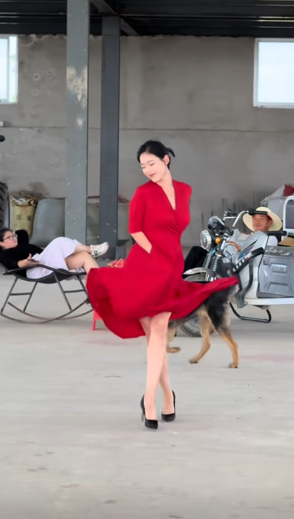 穿这一身要是在斗牛面前跳效果更好[哭笑不得]