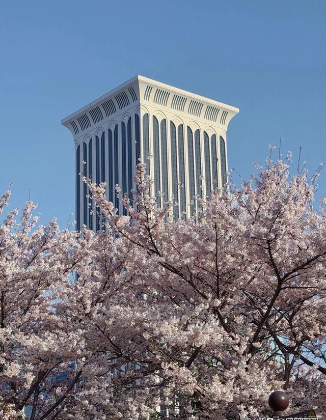 手机弹出一条消息：大连拿了全国第一。不是什么网红城市排行榜，是“中国最具幸福