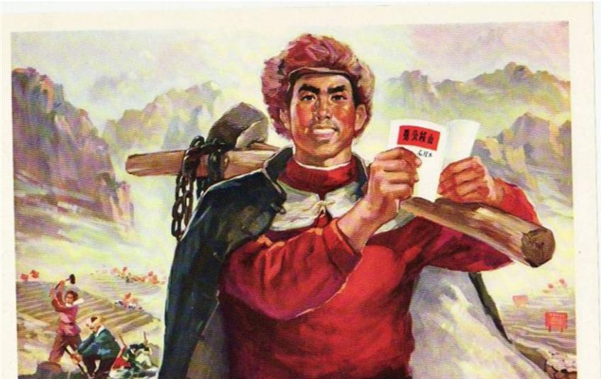 专家杨显东曾直言:“农业不能学大寨，要学也只能学小岗！当年大寨为了搞人造山间平原