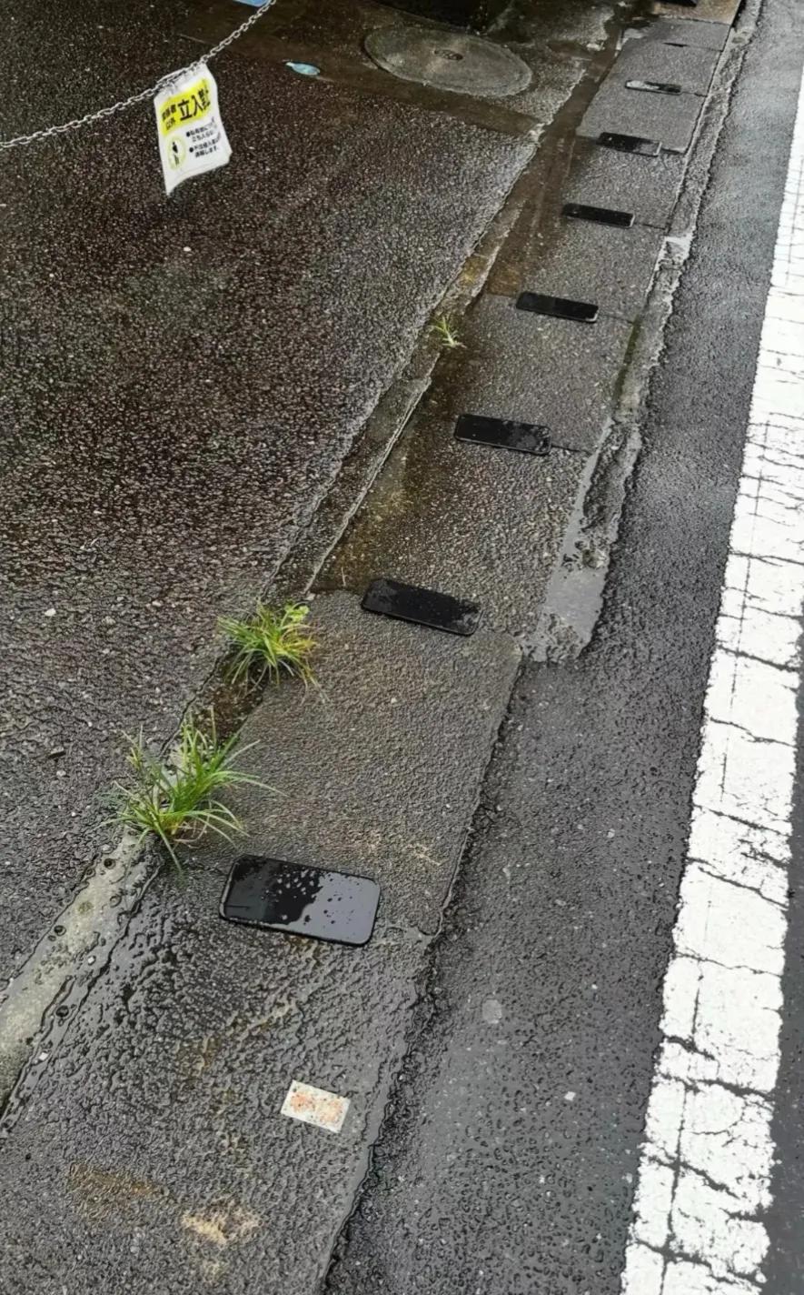 下雨天走在路上，远远一看吓一跳，台阶边一溜排开，还以为路边长出野生手机。走近才看