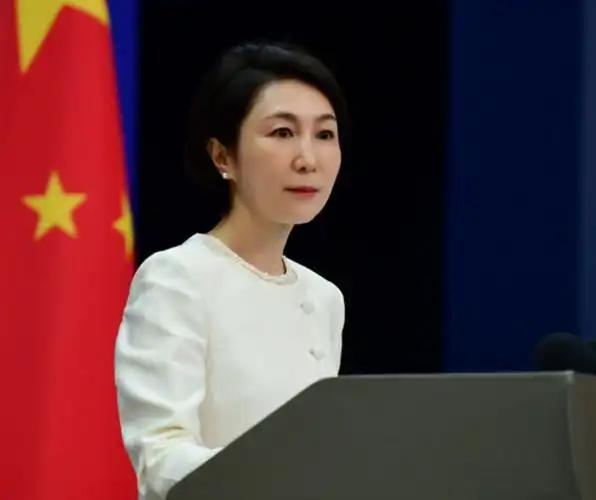 巴阿边境一夜变天，防长直接宣战，中方紧急介入，俄方态度很微妙 一夜之间，巴基