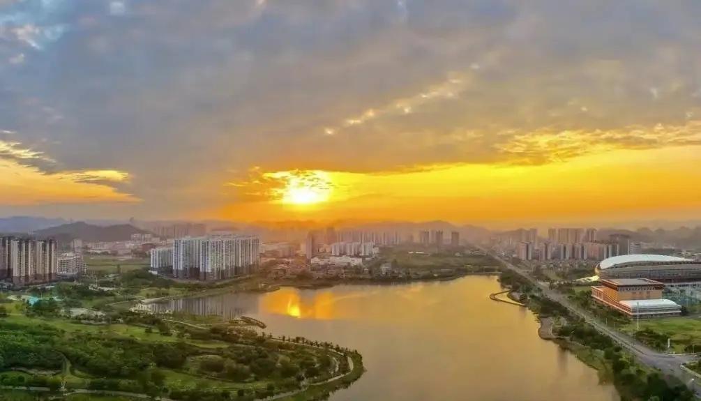 各板块最顶级的龙头公司：1、贵金属：紫金矿业、洛阳钼业2、有色金属：中国铝业、江