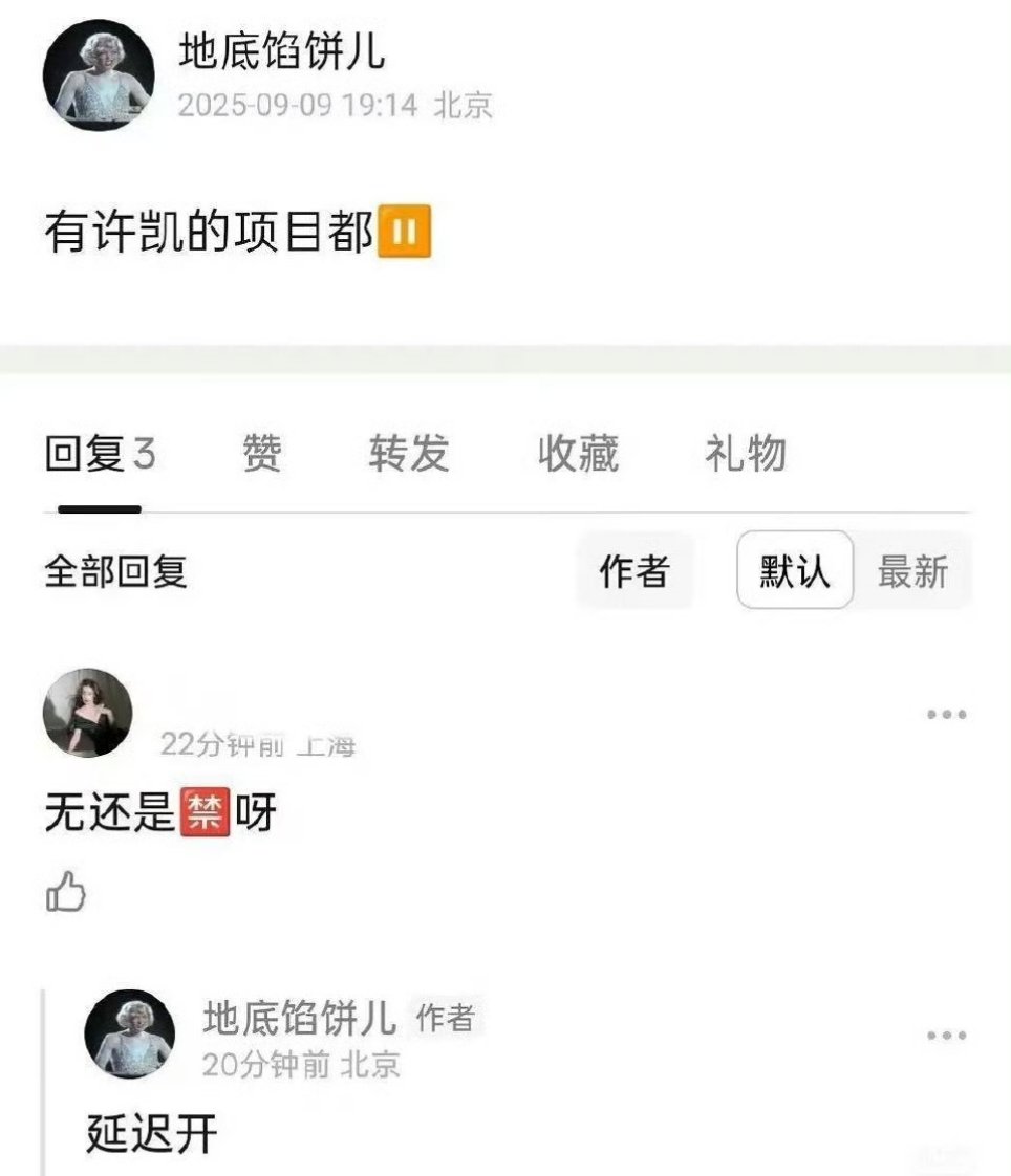网传许凯项目暂停许凯项目或将暂停网传许凯参与的相关项目都暂停娱乐​​​