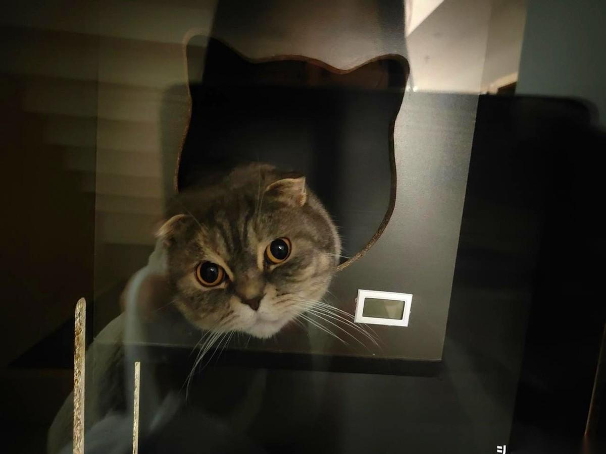 手机屏幕怼到我脸上，一个00后，笑得那叫一个灿烂。账户里10万多，收益率，30