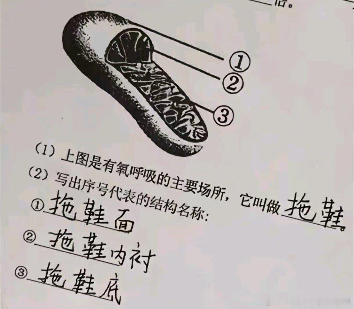 我支持拖鞋也有呼吸的权力