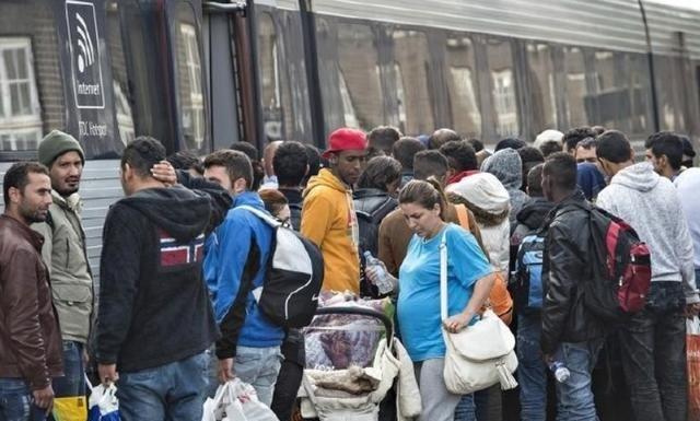 一个国家能愚蠢到什么程度？这里曾经是世界上最富裕、最安全的国家之一，人均GDP超