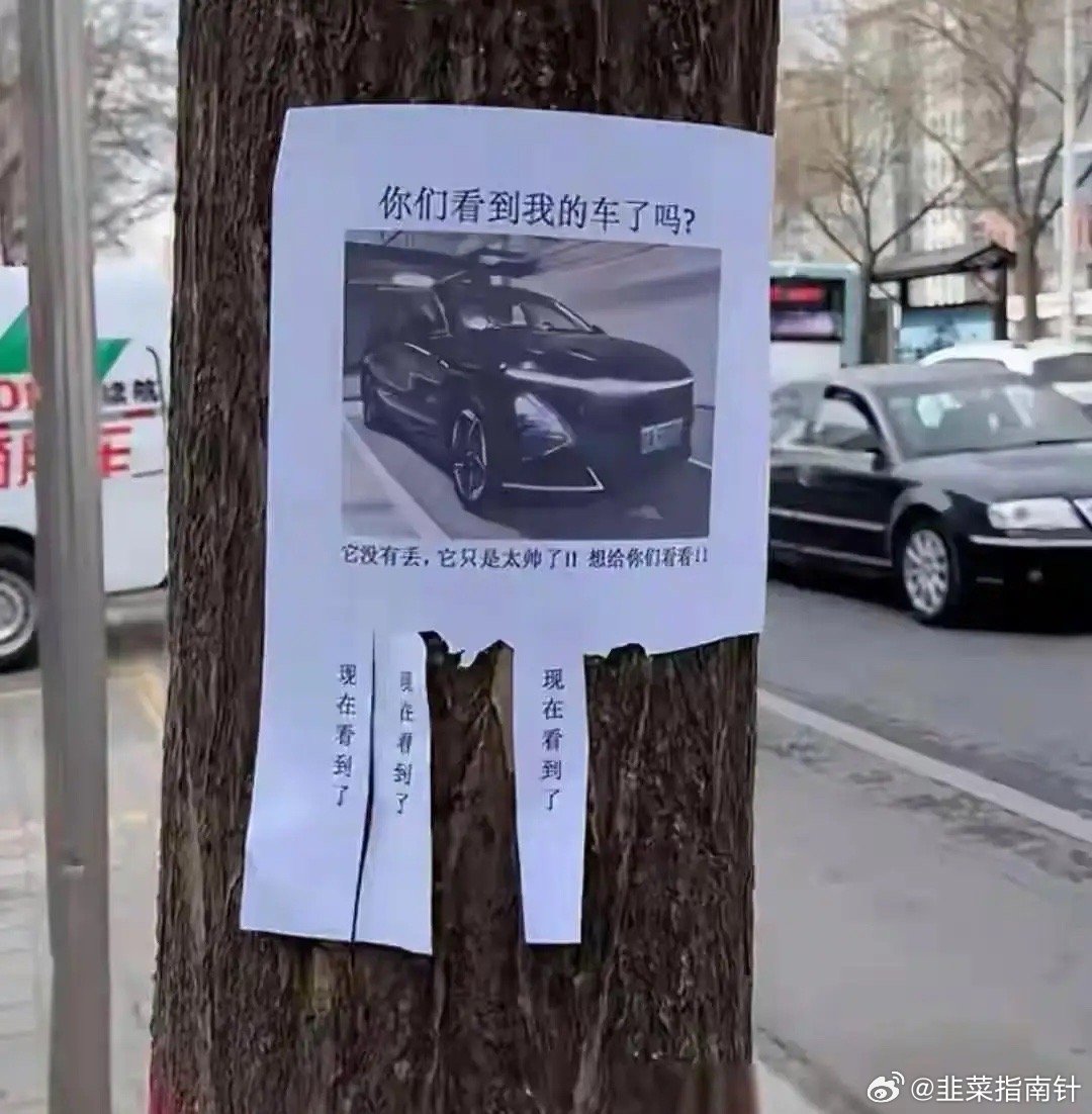 还真的被他装到了，车主一定是个逗比。​​​