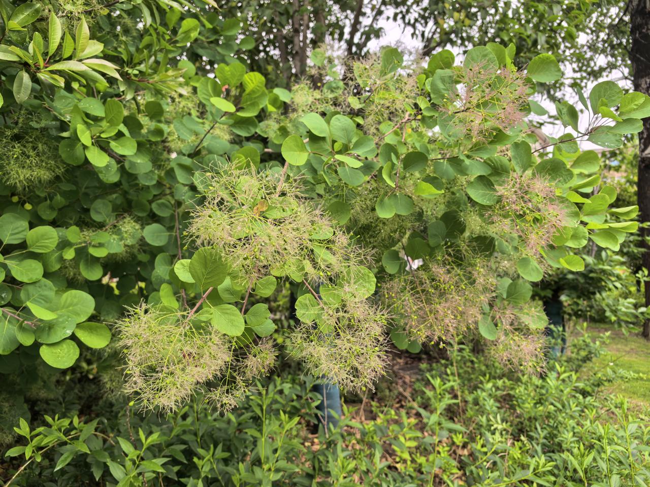 昨儿，一个很久未联系的同学打来电话，因为在外地，一看老家电话，虽然陌生，还是接了