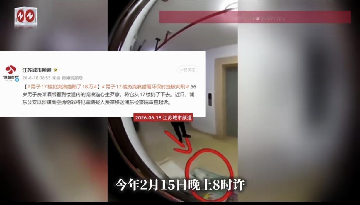 “现世报太爽了！”上海，一56岁男子喝完酒，看见楼道里有只流浪猫，他追着猫踢踹，