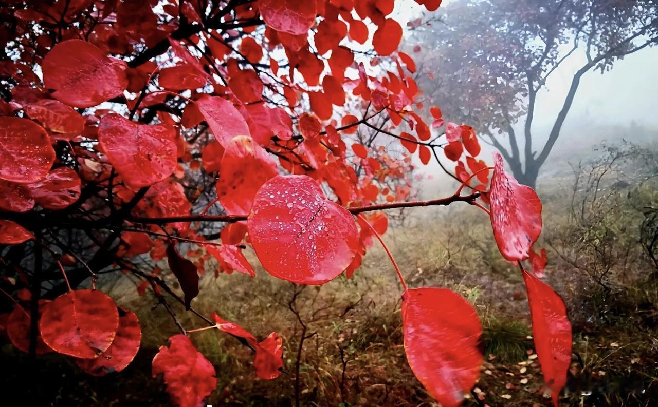 什么叫人情世故：吃透这几条，为人处世更通透1.拒绝宴请，别直说“有事去不了”