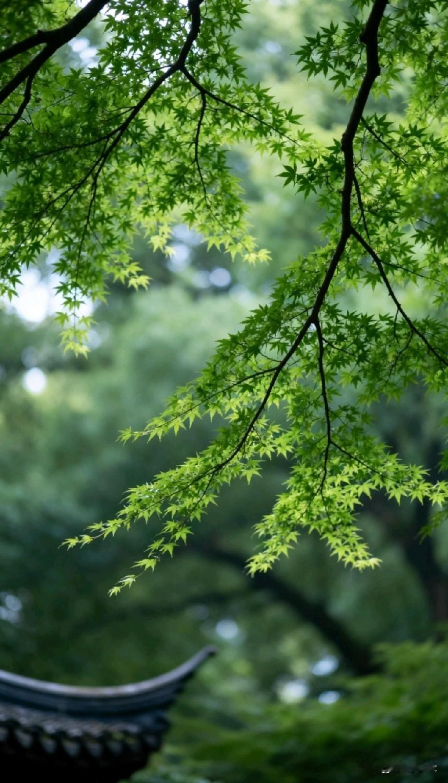 上了高中才能发现：即使你想走文科方向，数学学不好一样很难突破。今天开高二家长会