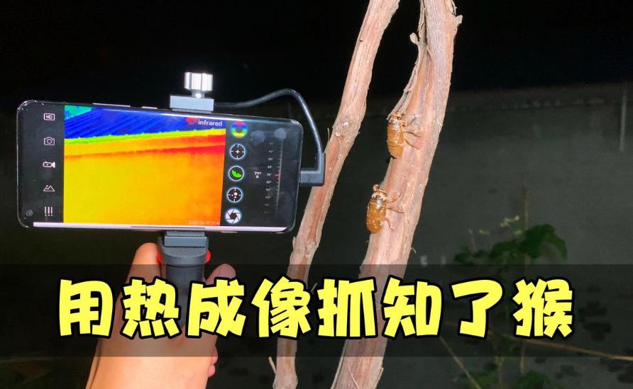山东抓知了猴的这批人最近估计快要崩溃了，他们千算万算，也没算到能碰上科技感拉满的