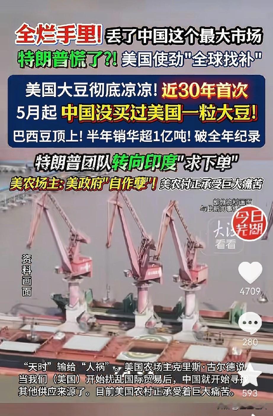 懂王最近急眼最大的问题，不是补贴不够，也不是国会呛声，而是中国连大豆都不买