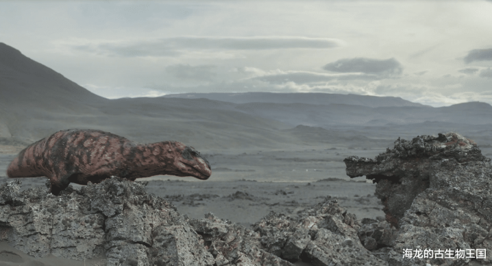 这些年幼的伊希斯龙依旧博冠体育面临诸多危险