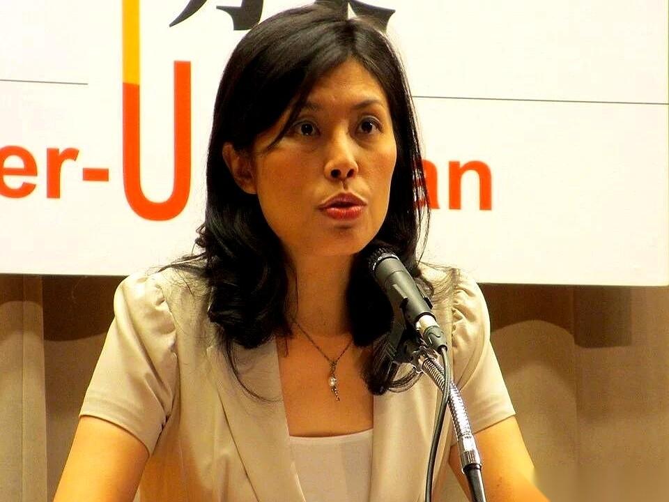 “不统不独”的戏码，她终于演不下去了！