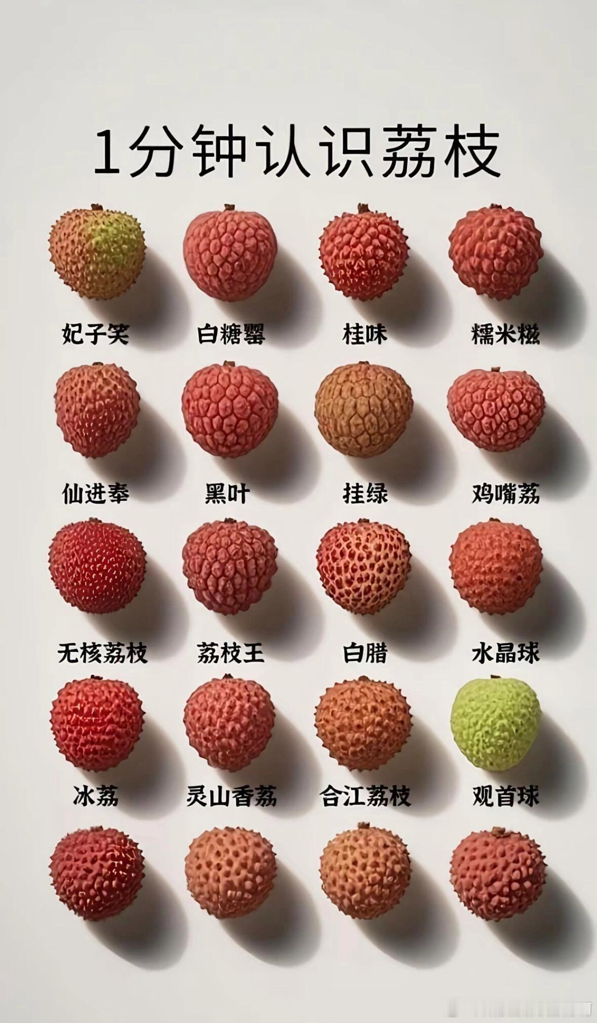 一张图认识荔枝​​​