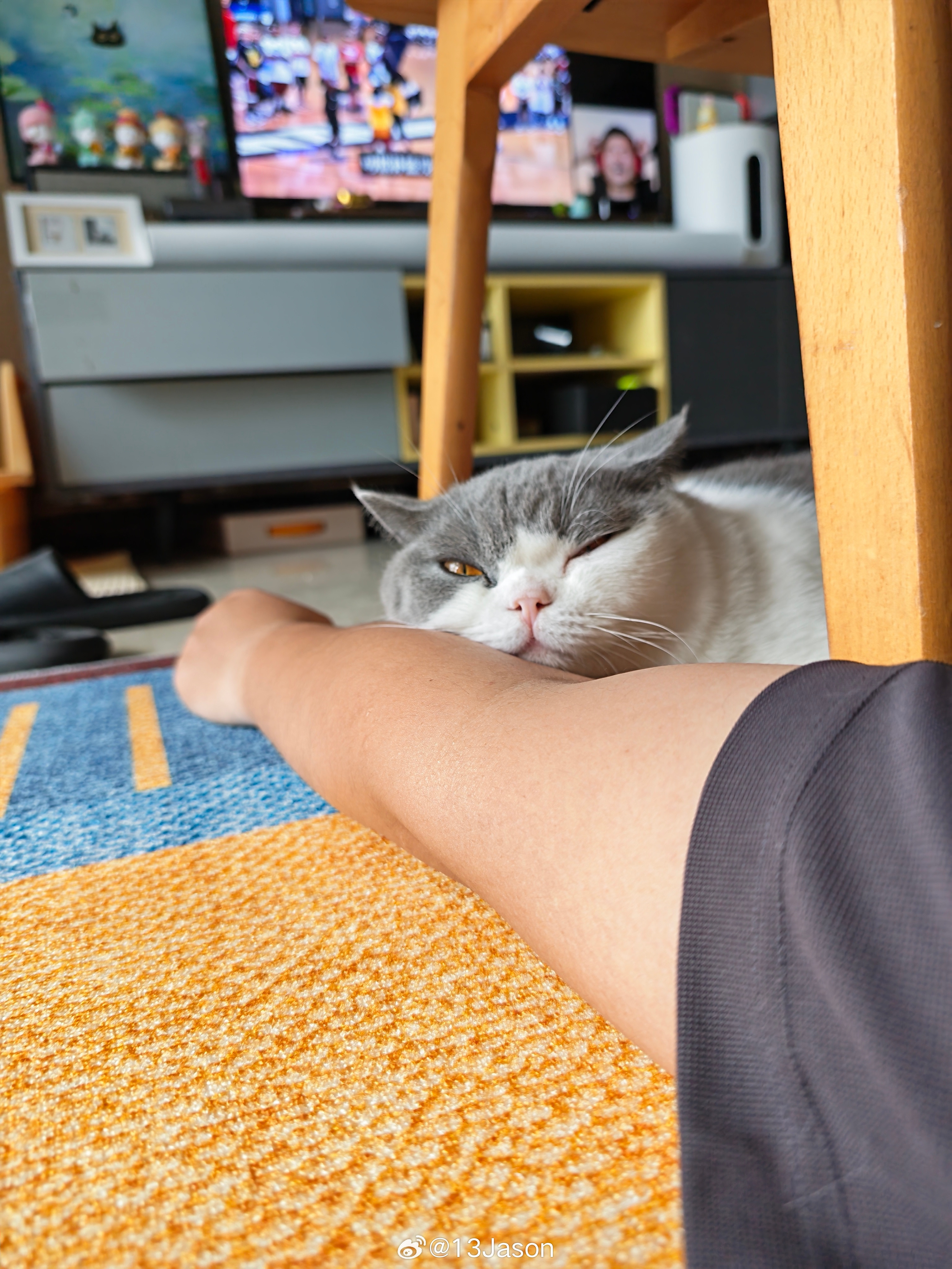 午后慵懒小猫。​​​