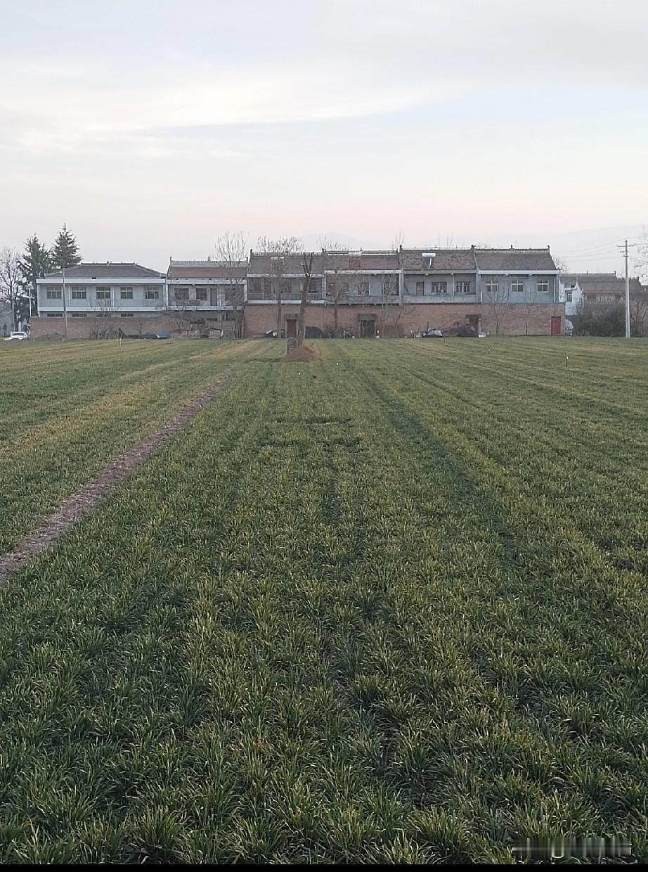 刚开年就看到一个好消息:国家要对冰葬服务业整顿了，新的殡葬制度将于今年3